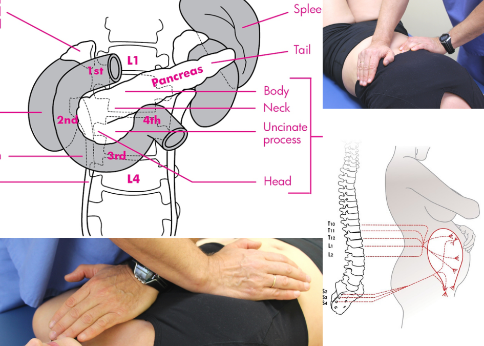 Osteopathic Approach in Obstetrics & Pathologies